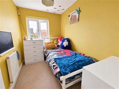 Picture 16